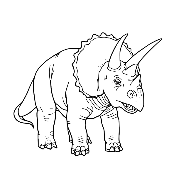 Triceratops Detailed Close Up colouring page (Easy)